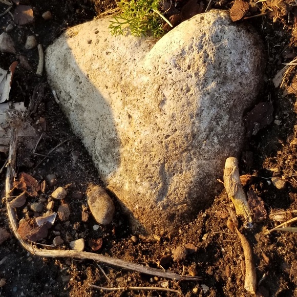 Meet your Posher, Carrie - Picture 1 of 1